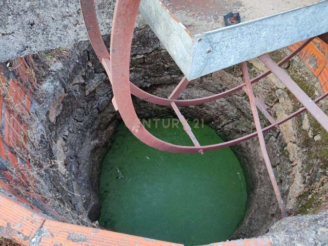 Terreno venda em Castelo Branco