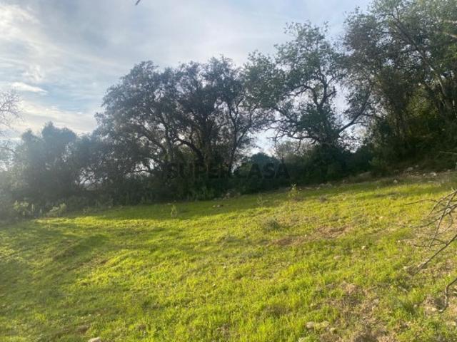 Terreno venda em Albufeira, Faro