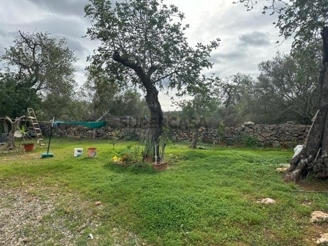 Terreno venda em Marcos Mendes, Loulé