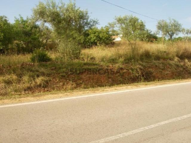 Terreno venda em Loulé, Faro