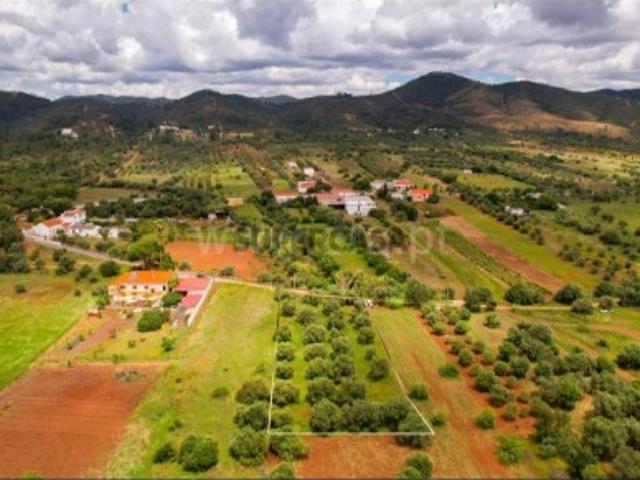 Terreno venda em Salir, Loulé