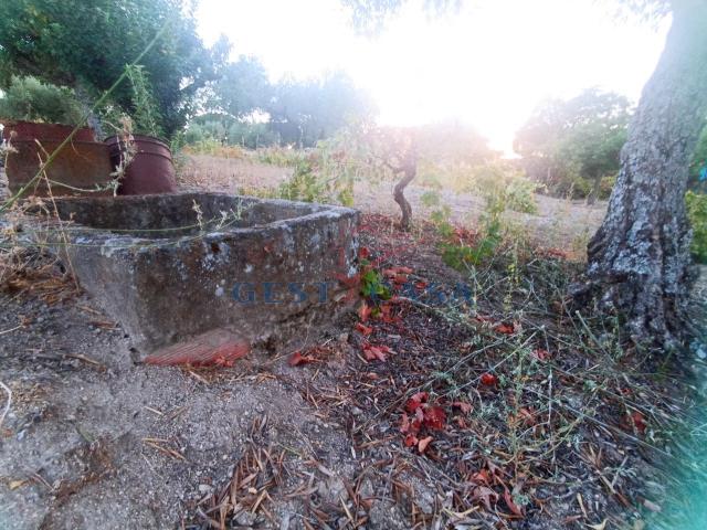 Terreno venda em Abrantes, Santarém