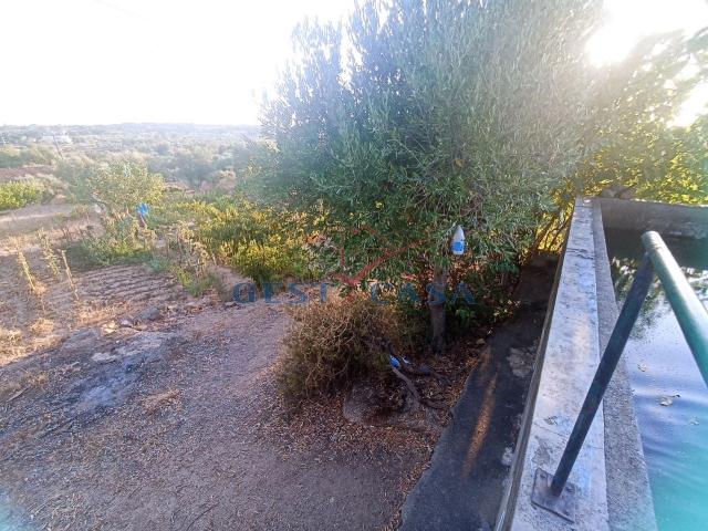 Terreno venda em Abrantes, Santarém