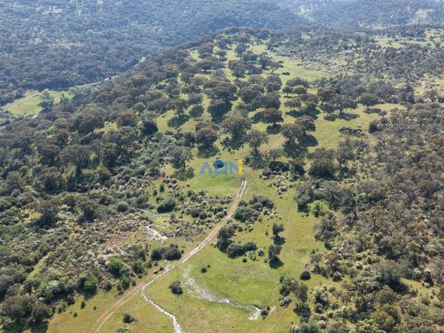 Terreno venda em Castelo Branco