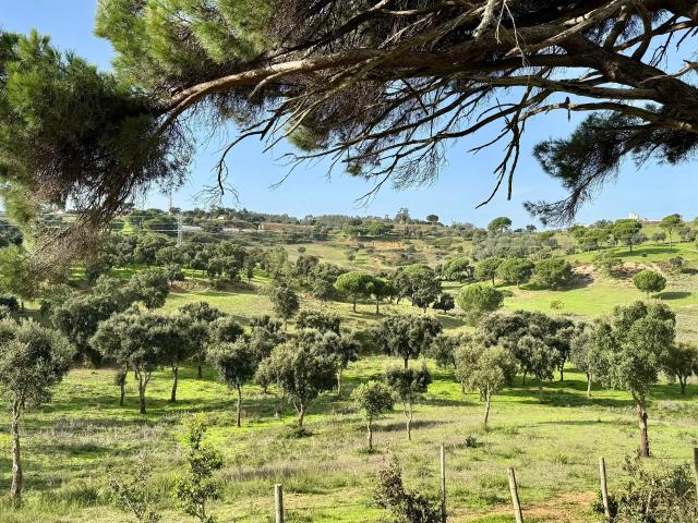 Terreno venda em Azambuja, Lisboa