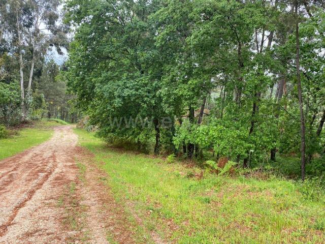 Terreno venda em Várzea da Ovelha, Várzea Ovelha E Aliviada