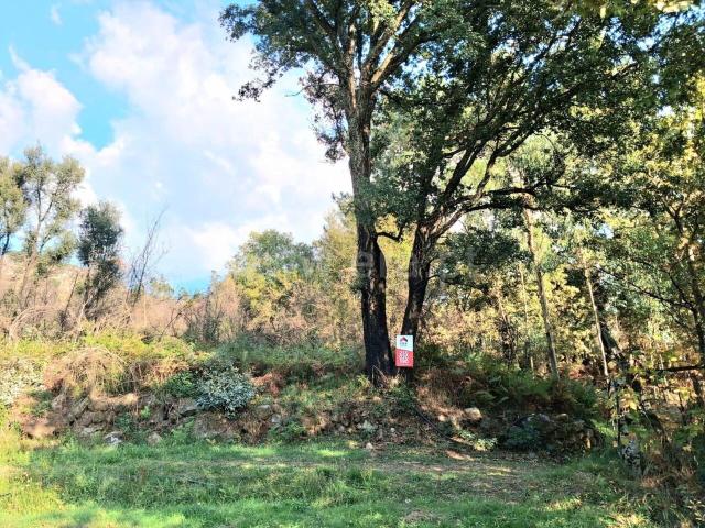 Terreno venda em Vila Boa Do Bispo, Porto