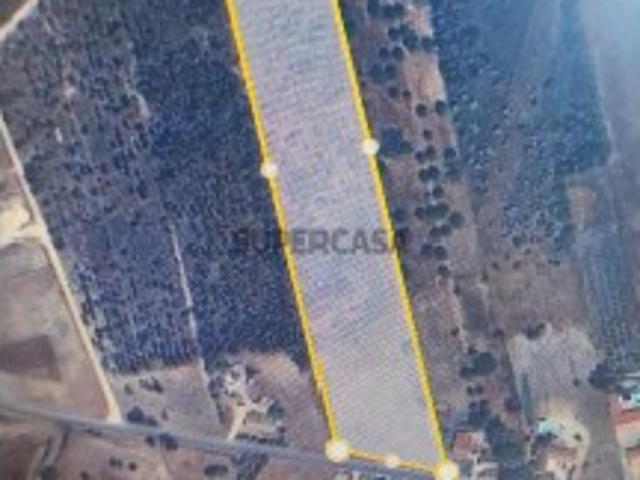Terreno venda em Salvaterra De Magos, Santarém