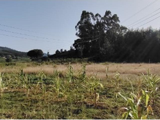 Terreno venda em Torres Vedras, Lisboa
