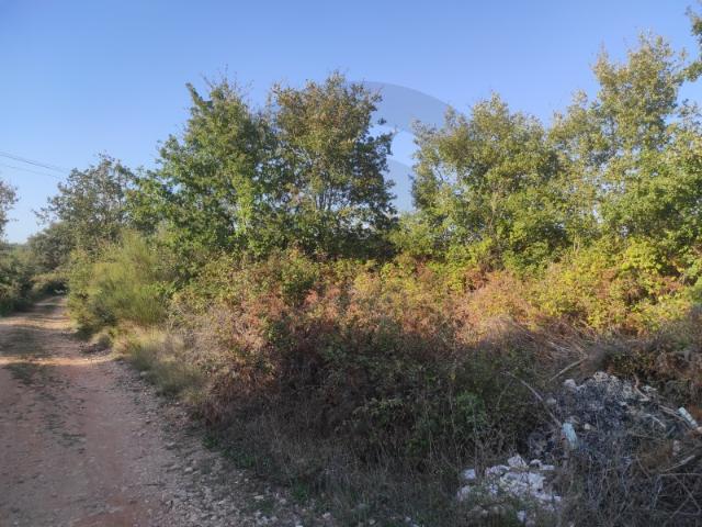 Terreno venda em Ourém, Santarém