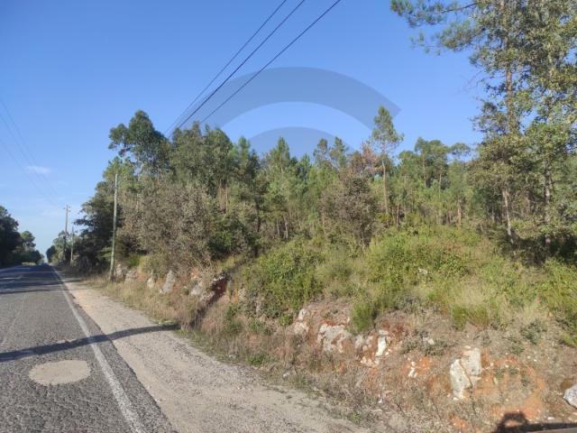 Terreno venda em Ourém, Santarém