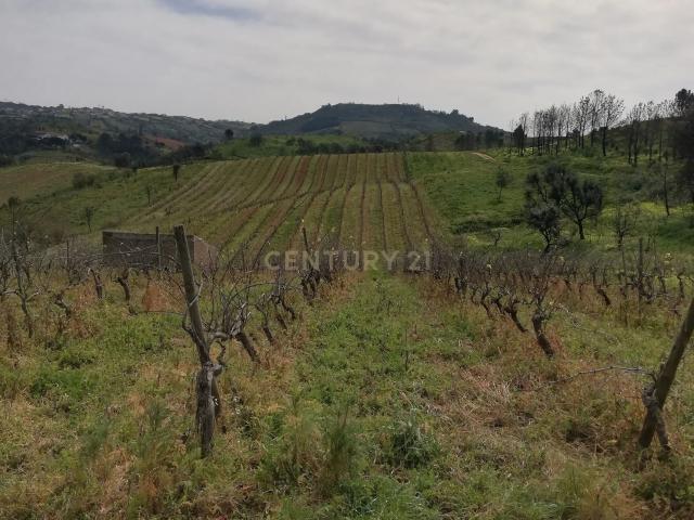 Terreno venda em Estribeiro, Alenquer