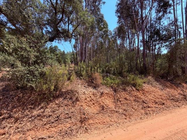 Terreno venda em Mouriscas, Abrantes