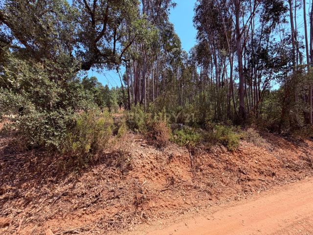 Terreno venda em Mouriscas, Abrantes