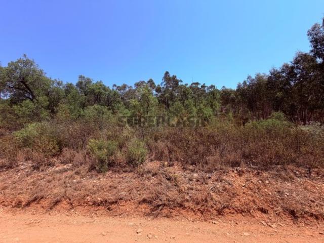 Terreno venda em Mouriscas, Abrantes