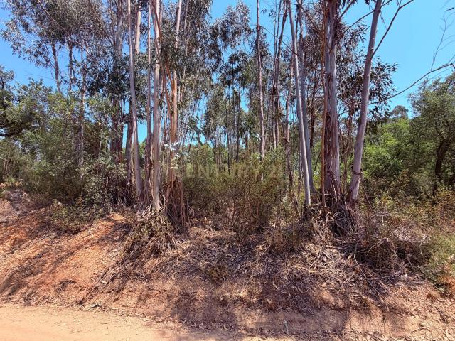 Terreno venda em Mouriscas, Abrantes