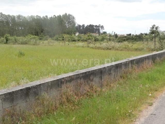Terreno venda em Santa Maria Da Feira, Aveiro