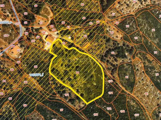 Terreno venda em Alcanena, Santarém