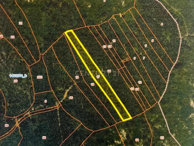Terreno venda em Alcanena, Santarém