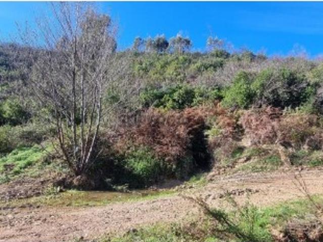 Terreno venda em Monchique, Faro