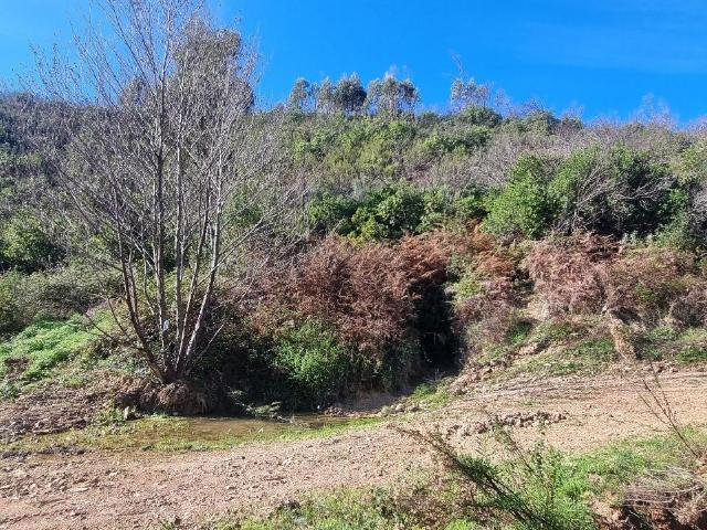 Terreno venda em Monchique, Faro