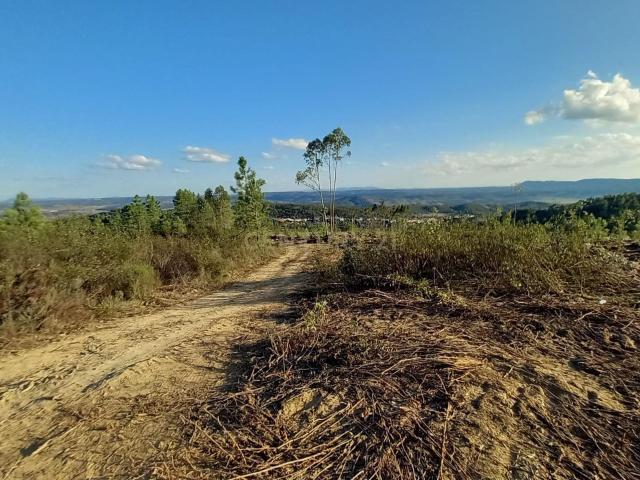 Terreno venda em Castelo Branco