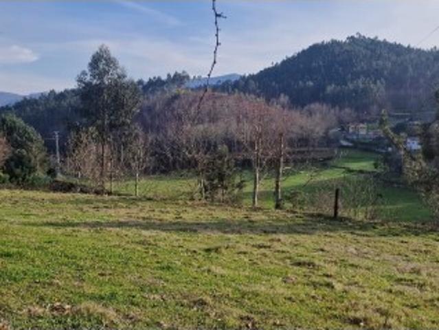 Terreno venda em Taboabela, Parada Do Bouro