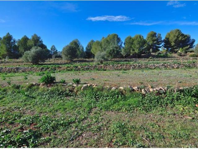 Local Comercial en venta en Benissa, Valencia