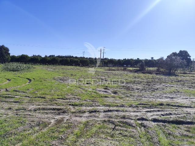 Terreno alugar em Grândola, Setúbal