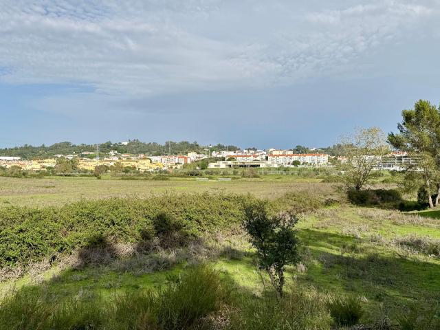 Terreno venda em Azambuja, Lisboa
