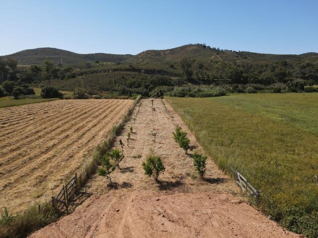 Terreno venda em Aljezur, Faro