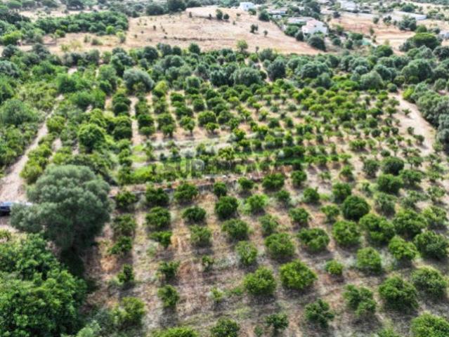 Terreno venda em Albufeira e Olhos de Água, Albufeira