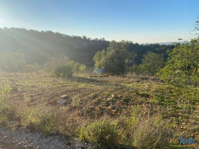 Terreno venda em Loulé, Faro