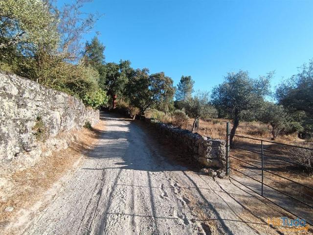 Terreno venda em Castelo Branco, Penamacor