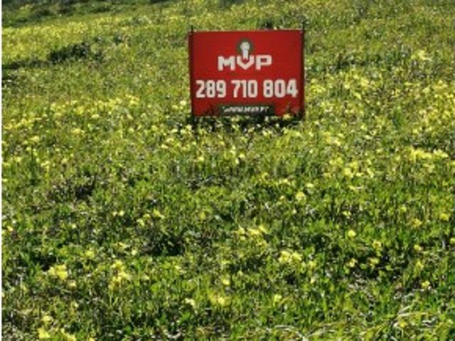 Terreno venda em Vila Do Bispo, Faro