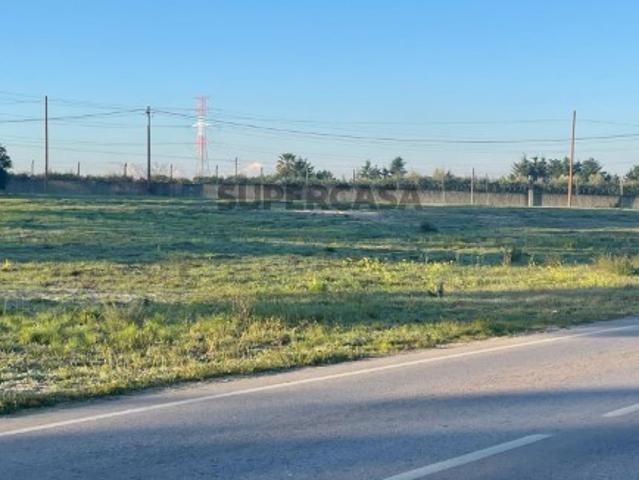Terreno venda em Palmela, Setúbal