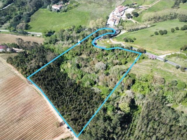 Terreno venda em Casais das Maias, Caldas Da Rainha