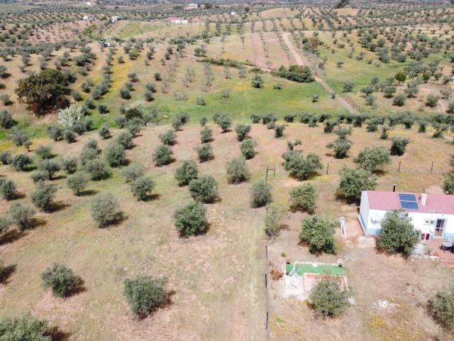 Terreno venda em Portel, Évora