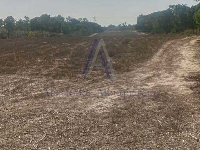 Terreno venda em Sesimbra (Castelo), Sesimbra