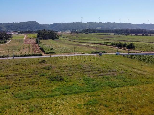 Terreno venda em Columbeira, Bombarral