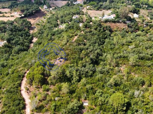 Terreno venda em Azeitão (São Lourenço e São Simão), Setúbal