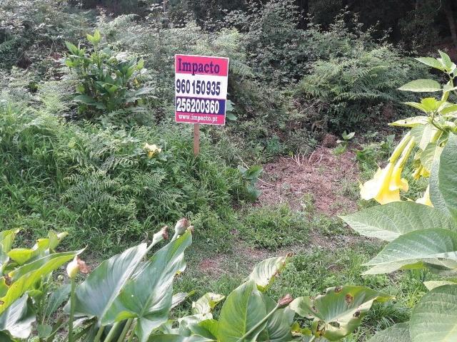 Terreno venda em Oliveira De Azeméis, Aveiro