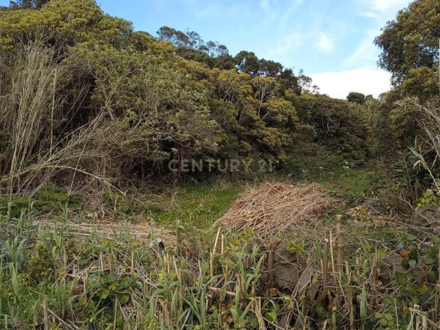Terreno venda em Açores, Vila De São Sebastião