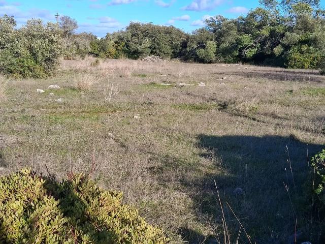Terreno venda em São Brás De Alportel, Faro