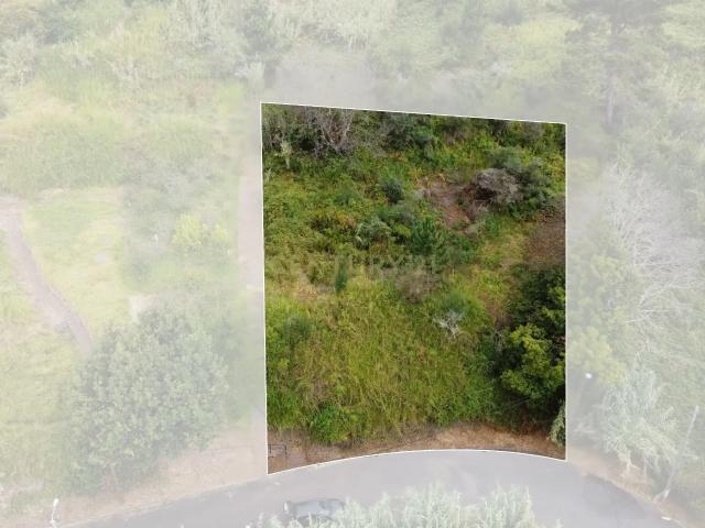 Terreno venda em Arco Da Calheta, Ilha Da Madeira