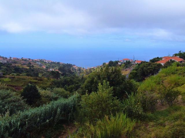 Terreno venda em Ladeira e Lamaceiros, Arco Da Calheta