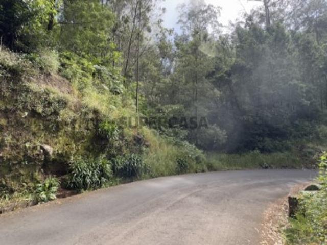 Terreno venda em Palheiro Ferreiro, Funchal