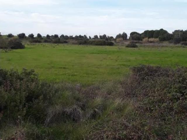 Terreno venda em Cartaxo e Vale da Pinta, Cartaxo
