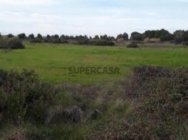 Terreno venda em Cartaxo e Vale da Pinta, Cartaxo