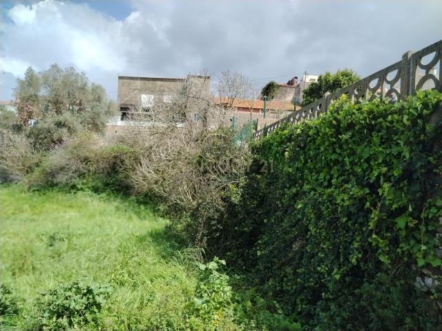 Terreno venda em Alcobaça, Leiria